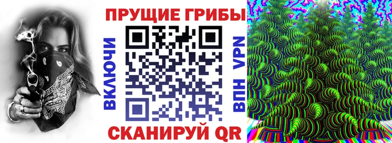 Псилоцибиновые грибы Psilocybe  shop наркотические препараты  Алексеевка  закладки 